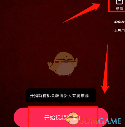 windows11 推荐的项目怎么关闭
