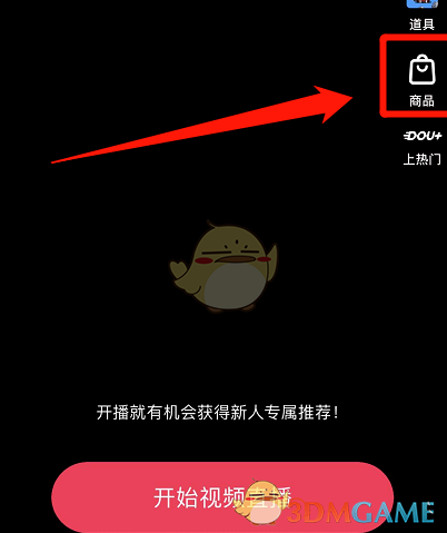 windows11 推荐的项目怎么关闭
