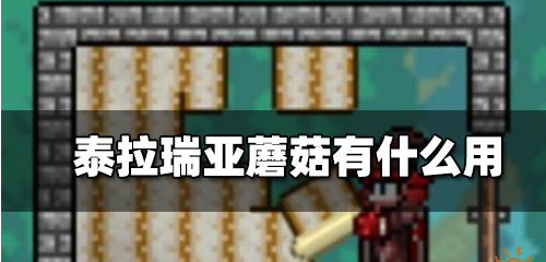 大多数游戏衣服脏了解决方法