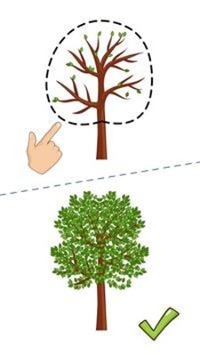 卧龙吟2代言人是谁 卧龙吟2代言人介绍