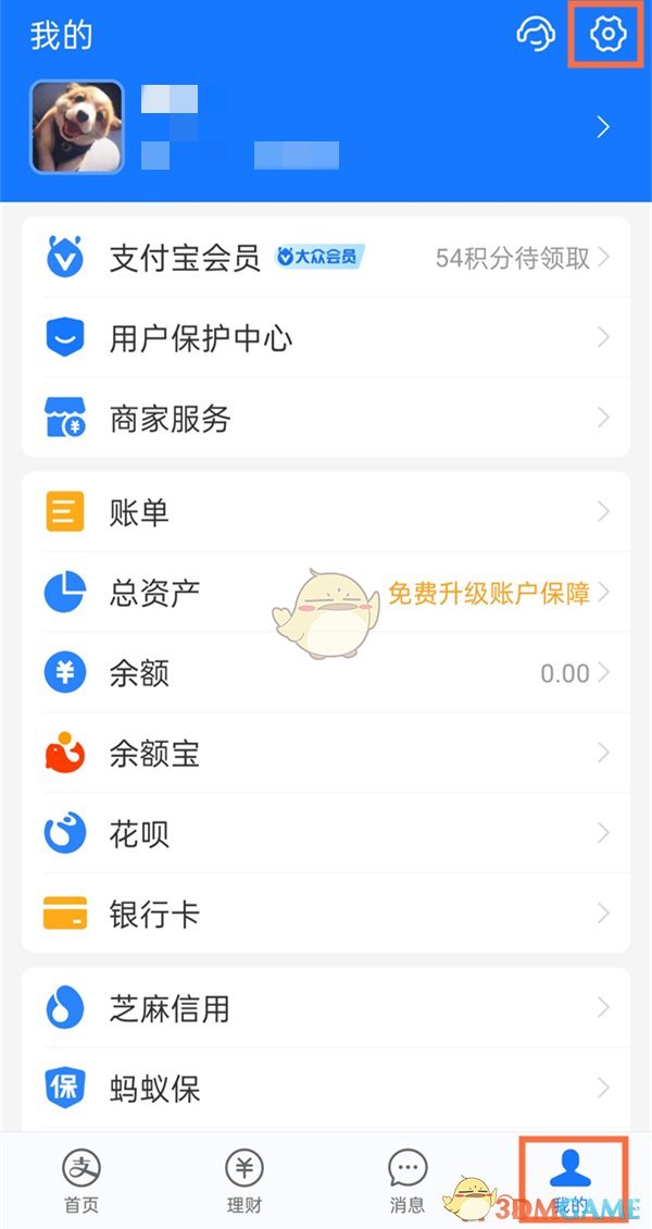 奶酪相机