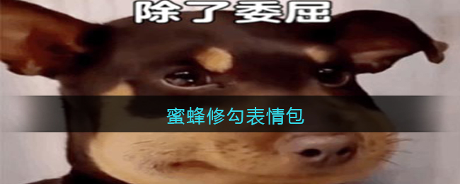 邦邦视频下载app