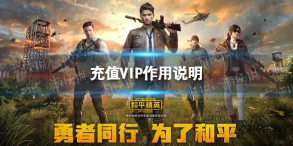 艾尔登法环追忆不小心用了可以复制吗
