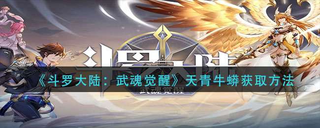 郭曦文演过什么电视(郭曦文真的是演员吗)