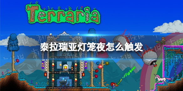 邦邦视频下载app