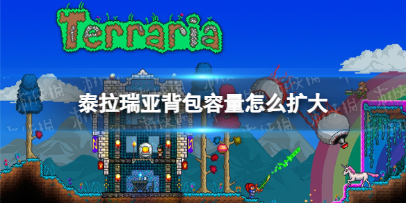 re05cc快猫视频app