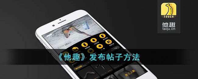 fv车牌代表什么意思(fv车牌身价一般多少钱)