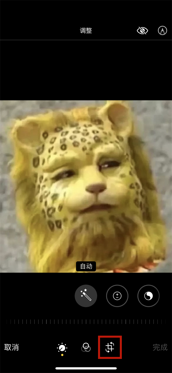 《支付宝》健康码没有眼睛标志解决办法