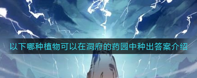 郭曦文演过什么电视(郭曦文真的是演员吗)