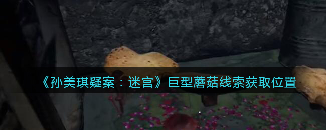 我国是全球最大的油料生产国正确还是错误 蚂蚁新村油料生产国3.11答案最新