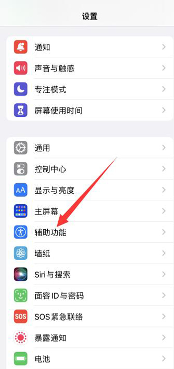 艾尔登法环项链流氓支线任务流程攻略