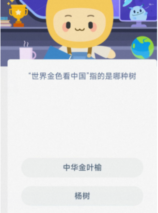 爱租机