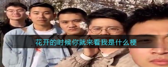 re05cc快猫视频app
