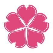re05cc快猫视频app