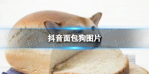 爱租机