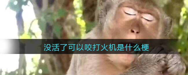 《艾尔登法环》黑夜骑士套装获得方法介绍