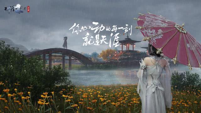 fv车牌代表什么意思(fv车牌身价一般多少钱)