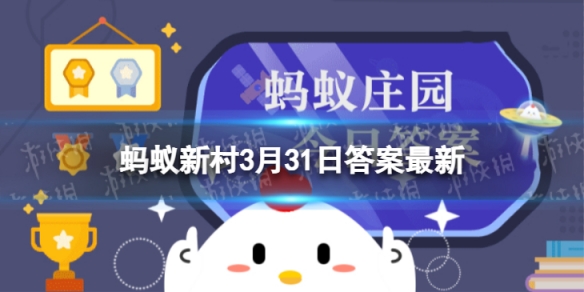 摩尔庄园3月16日神奇密码分享