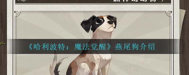 邦邦视频下载app