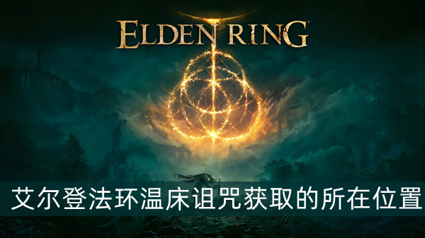 郭曦文演过什么电视(郭曦文真的是演员吗)