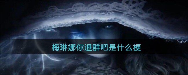 邦邦视频下载app