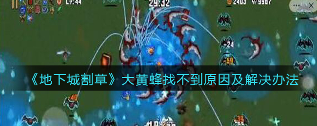 re05cc快猫视频app