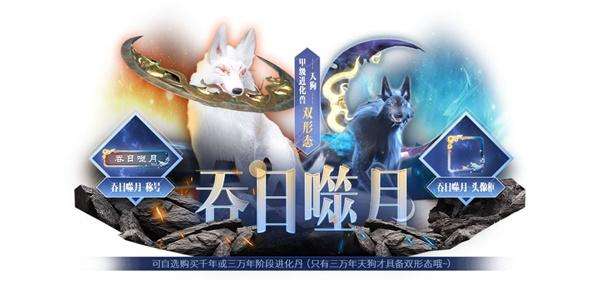re05cc快猫视频app