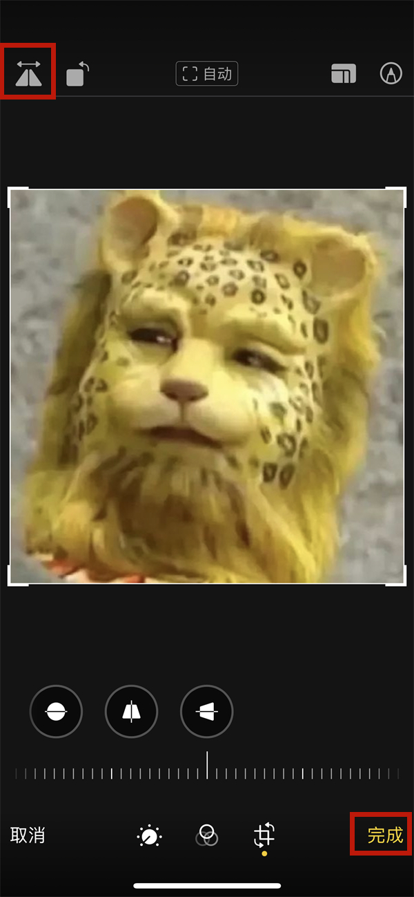 re05cc快猫视频app