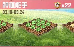 密洞app