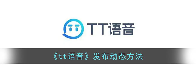 密洞app
