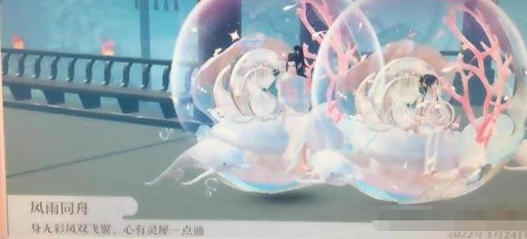 腾讯会议投屏码在哪里找
