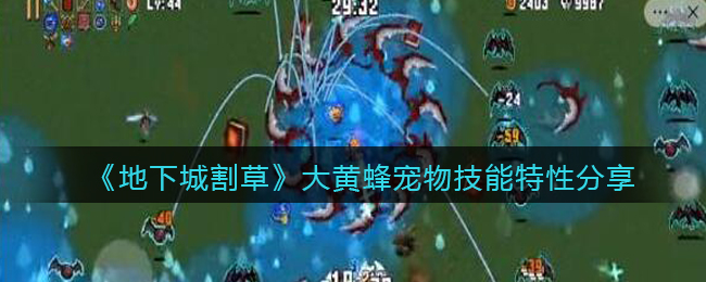模特直播app