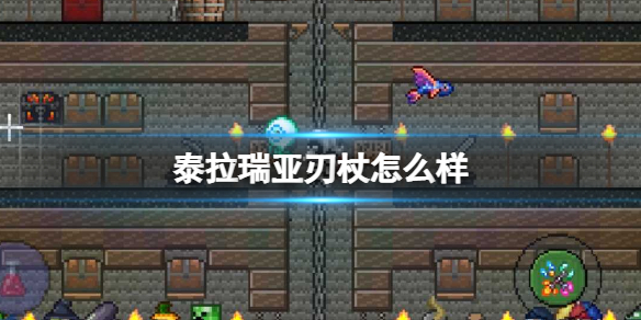 模特直播app