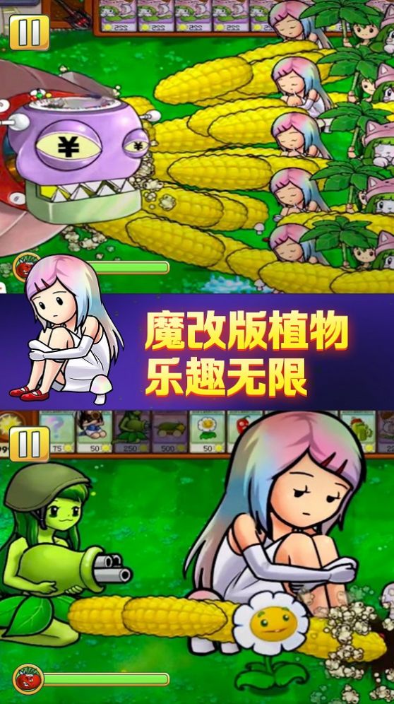 re05cc快猫视频app