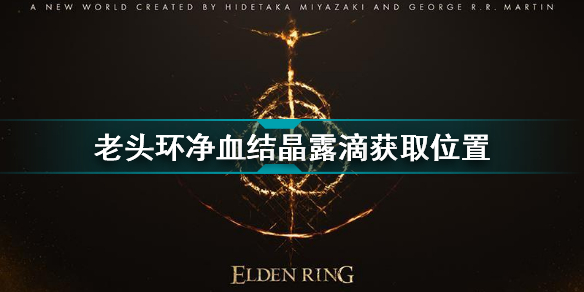 模特直播app