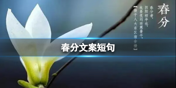 国际庄磊哥裕华高速路事件(石家庄裕华路口磊哥提刀事件)