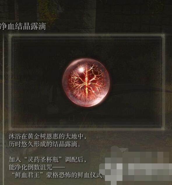 模特直播app
