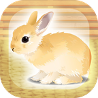 模特直播app