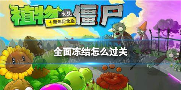 邦邦视频下载app