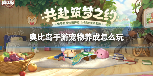 卡哇伊直播app新版本v1.7.2