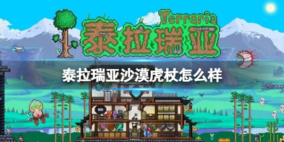 郭曦文演过什么电视(郭曦文真的是演员吗)