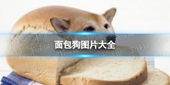 躺平文字大冒险内免广告