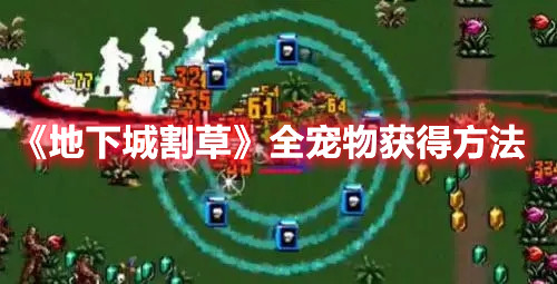 91短视频