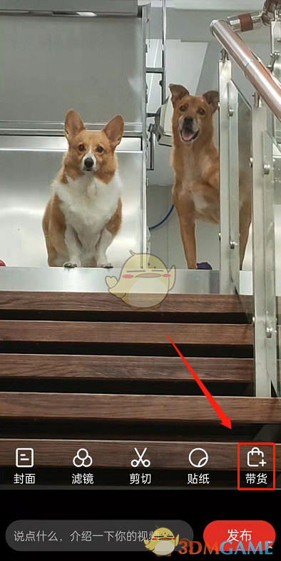 re05cc快猫视频app