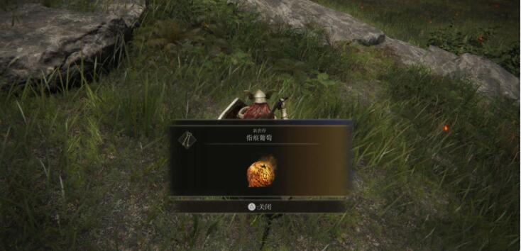 qc.tv七彩app