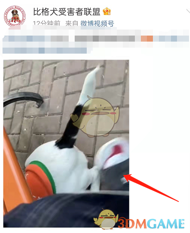 《逆仙》新剧情数值攻略攻略