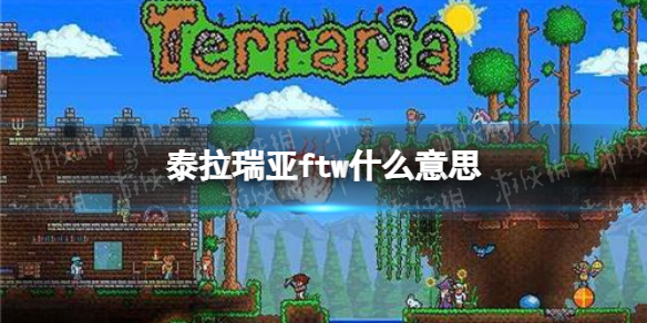《艾尔登法环》神皮襁褓获取位置介绍