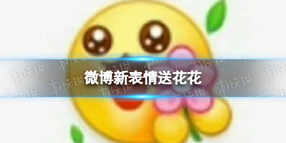 Yj99tv妖精app