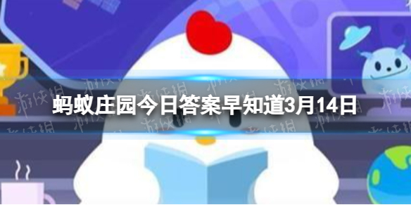 艾尔登法环项链流氓支线任务流程攻略