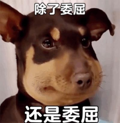 邦邦视频下载app